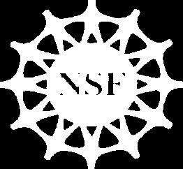 (NSF), Small Grants for