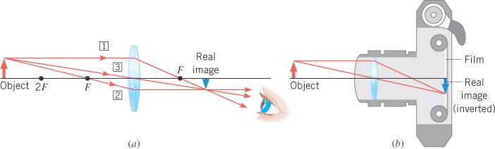Cameras IMAGE FORMATION BY A CONVERGING LENS IN A CAMERA When the object is placed further than twice the