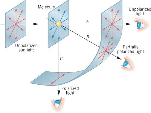 Polarization Polarized light is produced by the scattering of unpolarized sunlight by molecules in the atmosphere. Molecules re-radiate sunlight.