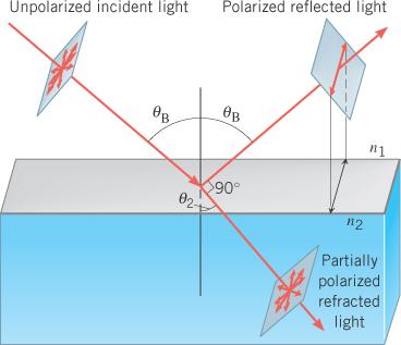 Polarization and the Reflection and Refraction of Light θ p θ p Reflected light is 100% horizontally polarized at the polarizing angle, θ p Brewster s law tanθ p = n 2 n 1 For air/water