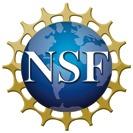 Unpublished report of a National Science Foundation invitational workshop, Rockefeller University, New York.