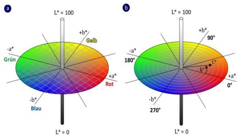 Graphic of the CIELab System Colour Values L (lightness) a