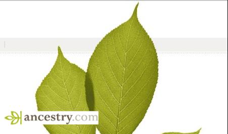 ONLINE TREES ANCESTRY.COM YOUR TREE YOU ARE IN COMPLETE CONTROL!