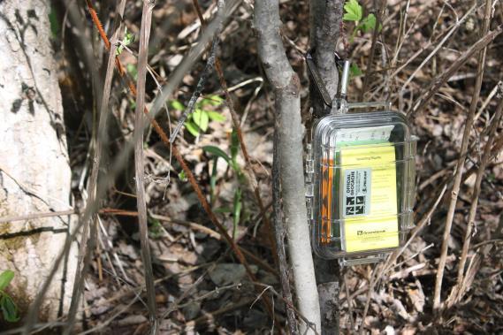 10 GEOCACHING Geocaching is an exciting outdoor treasure hunt.