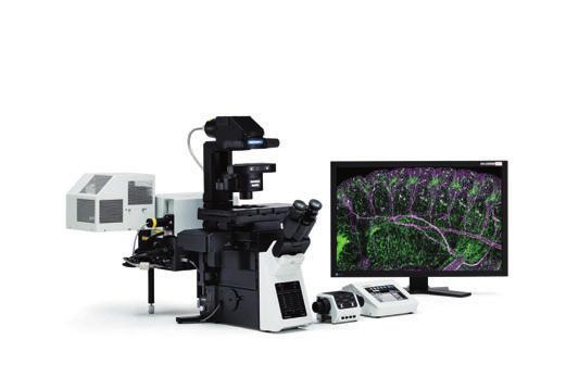 Reliability and Flexibility 1 2 FV12 (IX83 configuration) The FLUOVIEW FV12: High-quality Live Cell Imaging with High-level Reliability The FLUOVIEW FV12 biological laser scanning microscope