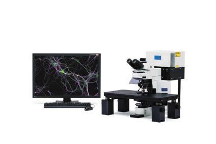 With the new IX83 microscope, the FV12 is optimized for some of the most challenging live cell imaging experiments, implementing real time Z-drift compensation and touch panel control.