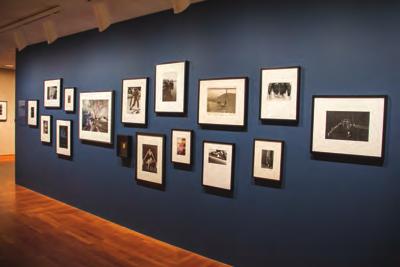 a gallery wall.
