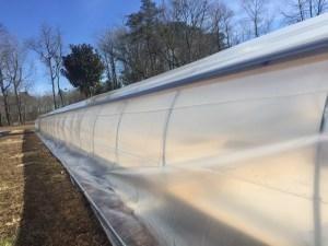 Install Roll-up Sides for Greenhouse Ventilation Now is the best time to install your roll-up sides.