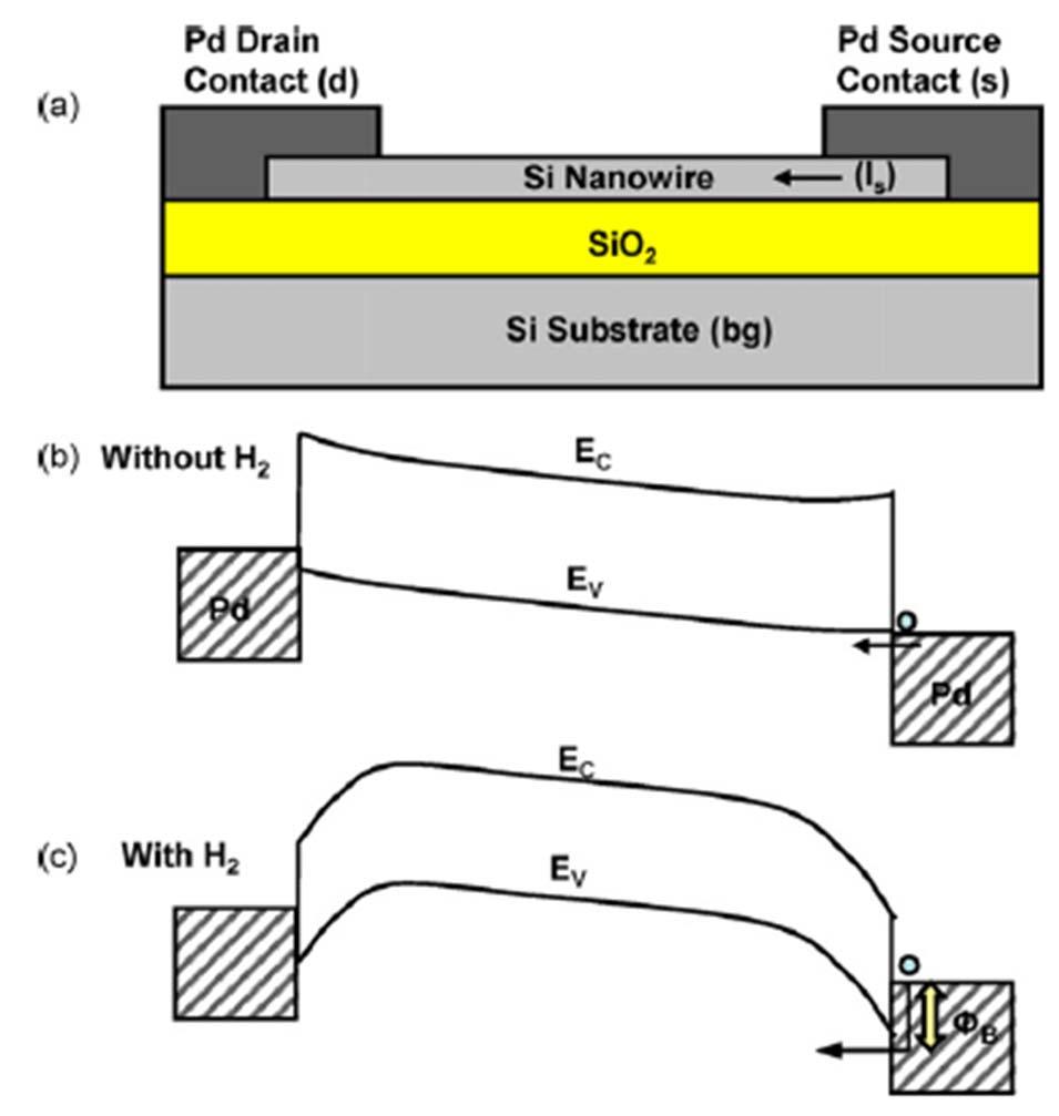 Pd/Si Nanowire H 2 Sensors Without