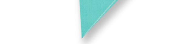 (4) 2-1/2" x 4-1/2" rectangles From light aqua solid fabric, cut: