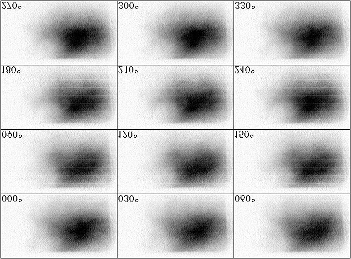 Figure 13: Phase-averaged images of the OH*-intensity oscillation at OP4 (360 Hz siren excitation). The flame mode does not lock to the excitation.