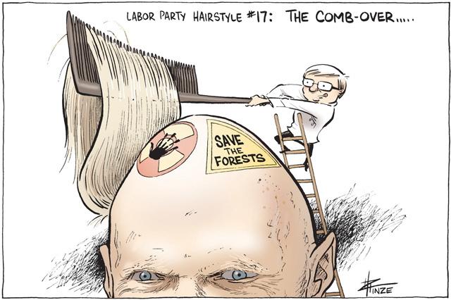 Target: Peter Garrett continued The comb-over by David Pope, 2006. With permission of David Pope. Artwork by David Pope.