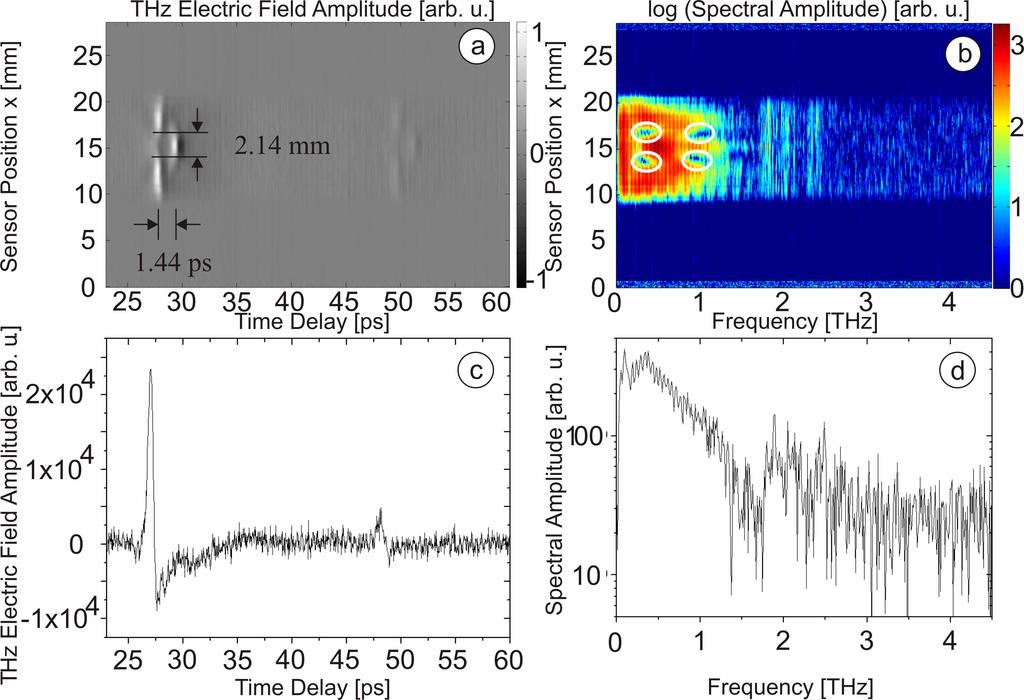 Fig. 6. (a) Spatially resolved THz Electric Field Amplitude in Time Domain (Media 1). (b) Spatially resolved THz Spectral Amplitude. (c) Example for a measured THz waveform at position x = 18.9mm.