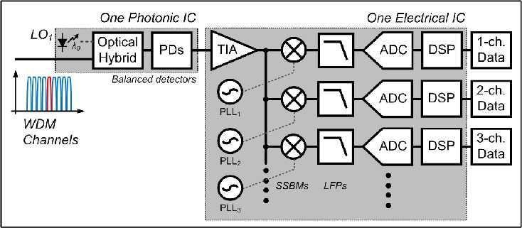 THz ICs for Optical WDM Recovery in the Electrical Domain