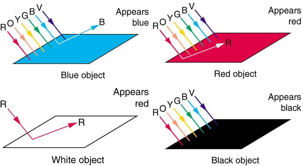 Reflection Refraction Diffraction Absorption Transmission