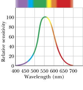 Maxwell s Rainbow The wavelength/frequency range in which electromagnetic (EM) waves (light) are