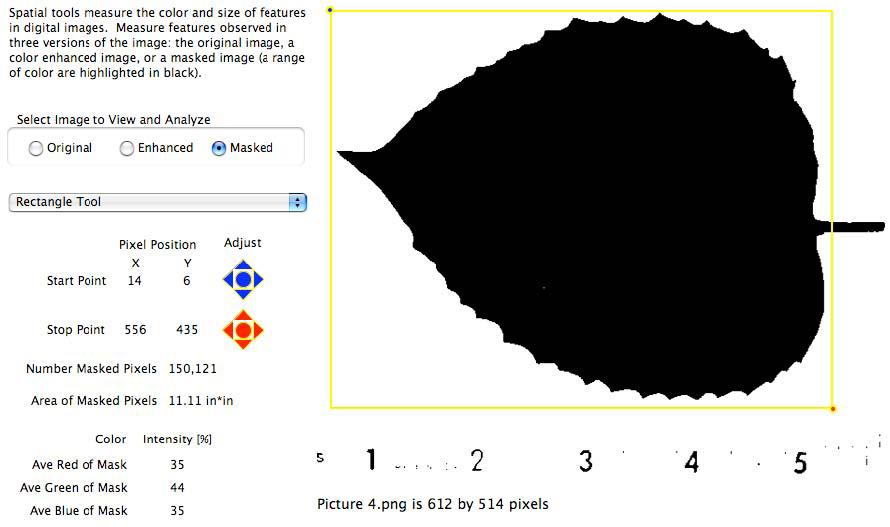 When satisfied that the mask isolates the feature you want to measure, return to the Spatial Analysis window and use either the Rectangle or Polygon tool to draw around just the highlighted feature.