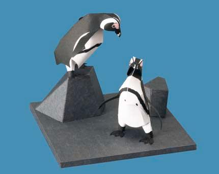Thank you for downloading this paper craft model of the Cape Penguin.