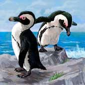 Cape Penguin, Rare Animal The Cape penguin was so named because it inhabits mainly the coasts of the Cape region of the southernmost part of Africa and its neighboring islands.