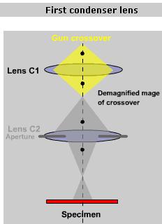 Fist condense lens C1 the fist condense lens is shown highlighted in the diagam.