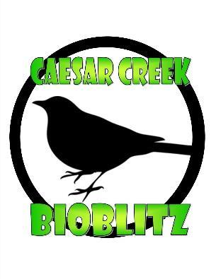 Bring gloves and small brown paper bags if you have them. For more information call the Visitor Center, 513-897-1050. 10 th Annual BioBlitz!