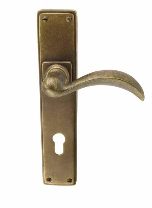 lever handles on backplates curved door