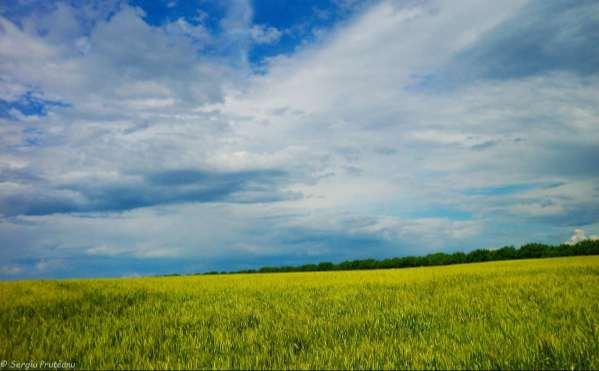 Typical Moldavian agricultural landscape: you can have this view in