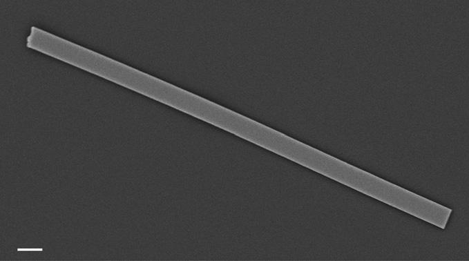 Fig. S7. Low-energy emission band in CsPbBr 3 nanowires. (A) Growth of the low-energy band near 530 nm with increasing femtosecond pulsed excitation fluence.