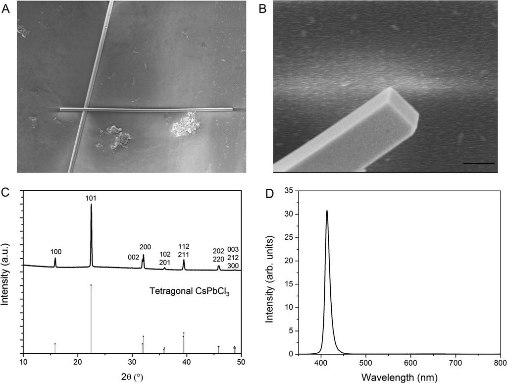 Fig. S9. Characterization of as-grown CsPbCl 3 nanowires. (A) SEM image of an individual CsPbCl 3 nanowire. (Scale bar, 5 μm.) (B) Magnified SEM image depicting rectangular end facets.