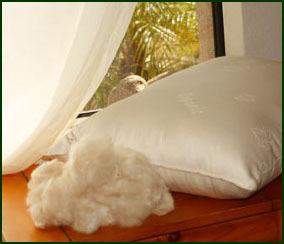 All-Natural Kapok Pillows Kapok (Kay-pock) is the silky fiber from the seed pod of the Ceiba Pentandra tree from Southeast Asia, South American, and Tropical West Africa.