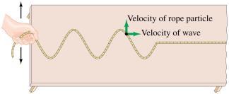 Musical instruments and TV/radio receivers depend on it. A wave travels along its medium, but the individual particles just move up and down.