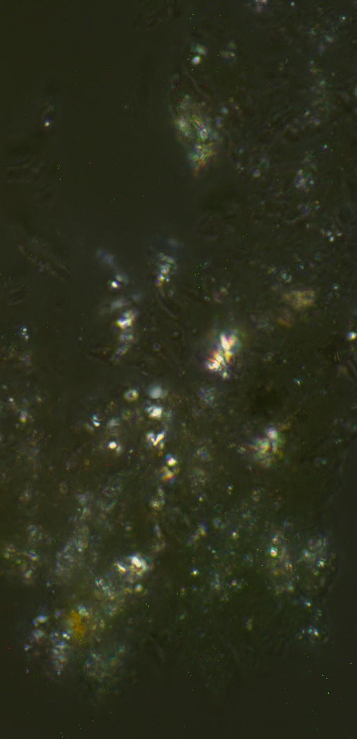GHC 2, transmitted plane polarized light, 1000x. First generation verdigris paint.