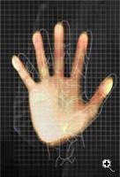 palm, back of the hand or fingers as personal identification data, and retina recognition using the vascular patterns at the back of the eye as personal identification.