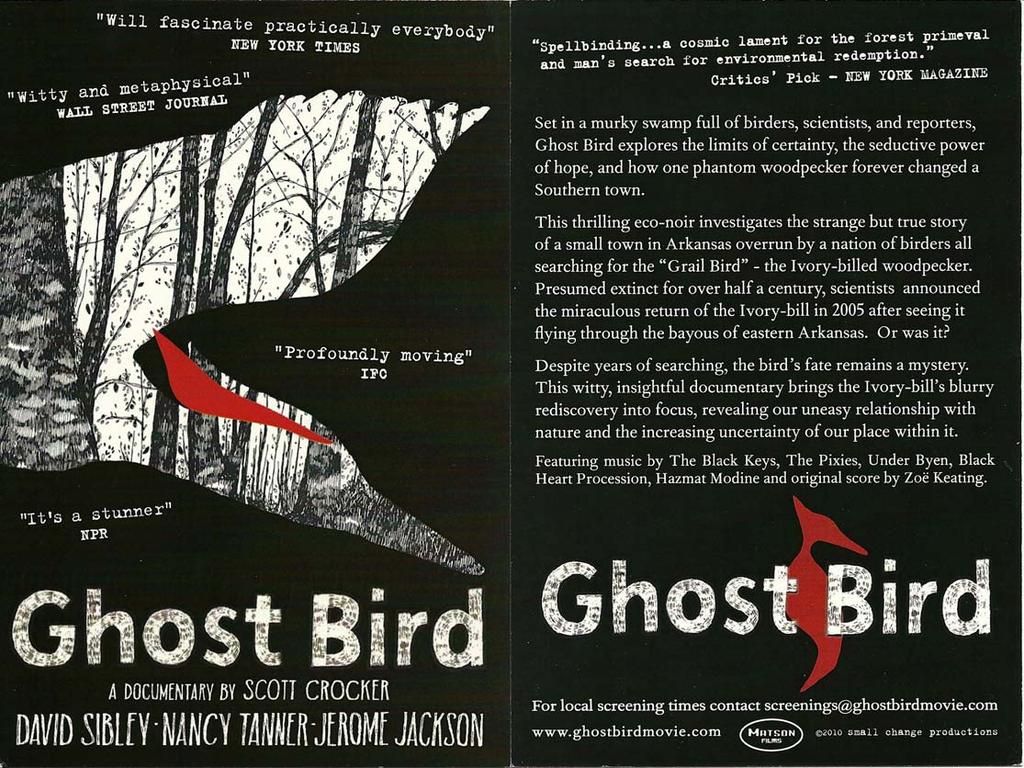 Volume 25, Number 9 BIRD STUDY GROUP NEWSLETTER May 5, 2011 Coming to the BSG this June The film Ghost Bird, will be shown at the June Bird