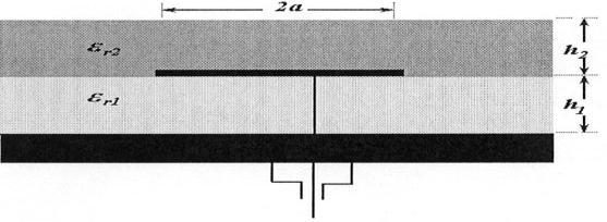 substrate [3]. Figure 1.
