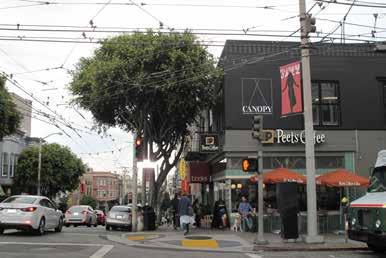 Pacific Heights is situated on a primarily east-west oriented ridge that rises sharply from the Marina District and Cow Hollow neighborhoods to the north to a maximum height of 370 feet above sea