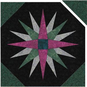 Step 6: Assemble the Quilt On a design surface, lay out the blocks in rows, taking care to rotate the blocks to match the design on the pattern cover and as indicated in the illustration below.