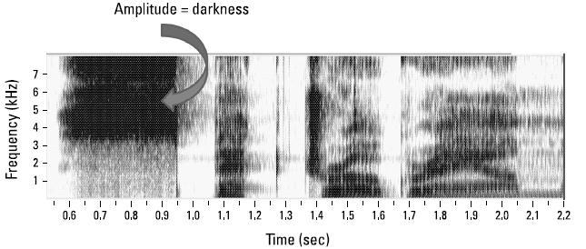 Sample of word spectrogram Pg.