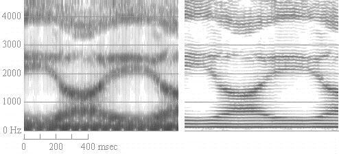 Vowel basics Here is /i ɑ i ɑ / produced with level pitch Wideband spectrogram