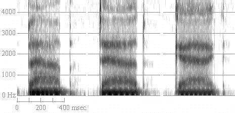 Stops/ formant transitions Spectrograms of bab dad and gag Labials - point down, alveolars point to ~1700-1800 Hz, velars