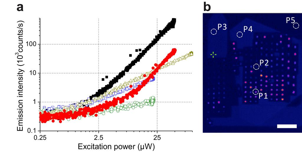 Supplementary Figure S9 Intensity dependence of visible TPPL signals on the average excitation power (a) Emission intensity as a function of the excitation power obtained from the areas marked with