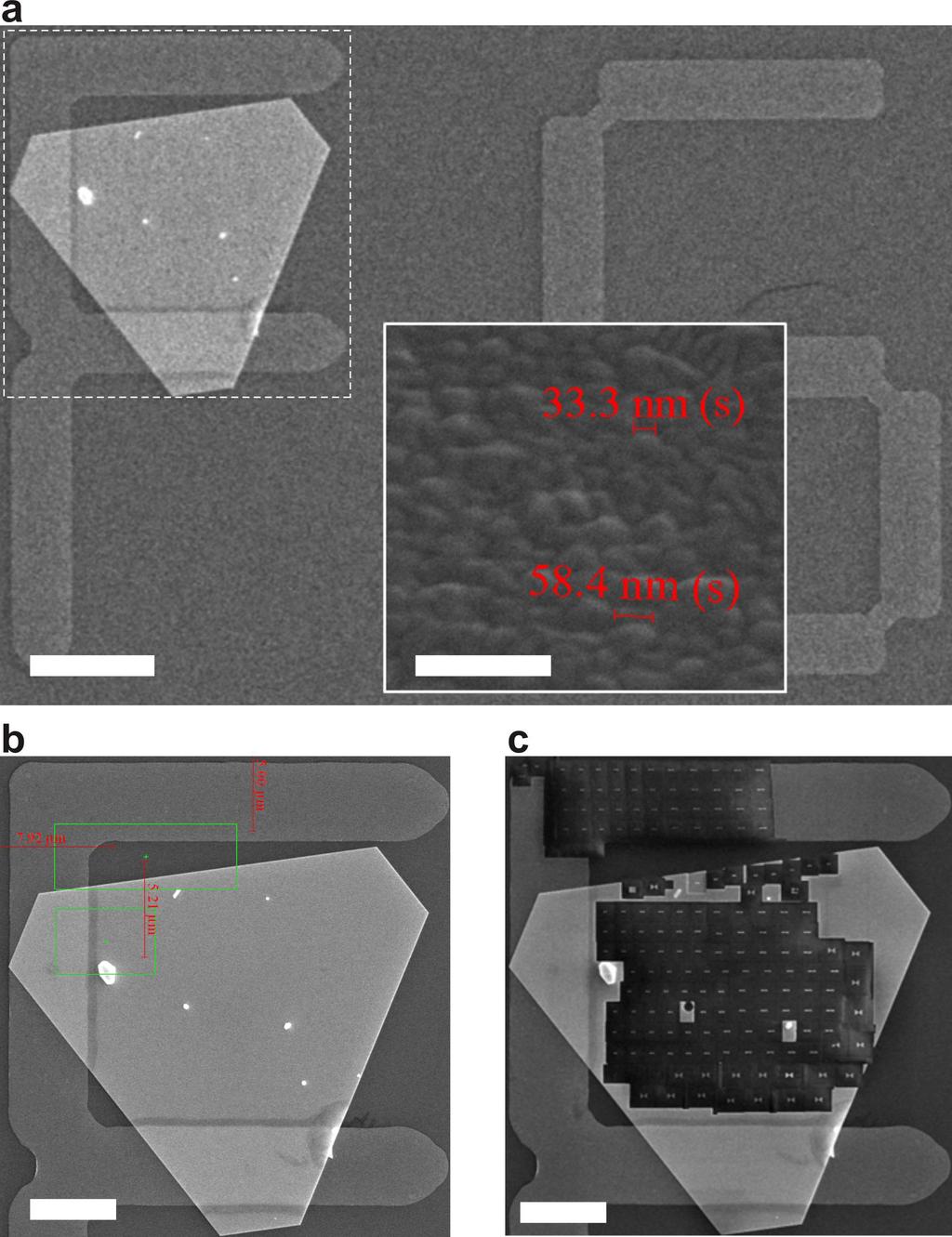 Supplementary Figure S7 SEM image of an area containing chemically synthesized single- and vapor-deposited multi-crystalline gold films.