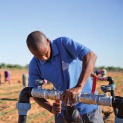 A FEW EXAMPLES OF IPAE PARTNER COMPANIES ////////////// Delta Irrigation Equipment and maintenance Senegal Entrepreneurs In portfolio Employees I&P share: Jean-Pierre Chapeaux & Bruno Demulder since