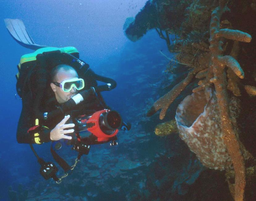 underwater Natural