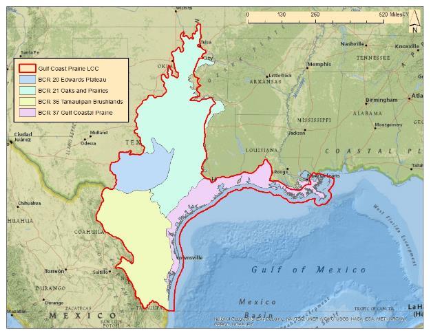 Figure 2: Bird Conservation Regions in the Gulf Coast Prairie Landscape Conservation Cooperative objectives are based on the Breeding Bird Survey (BBS), which is conducted during the spring-early