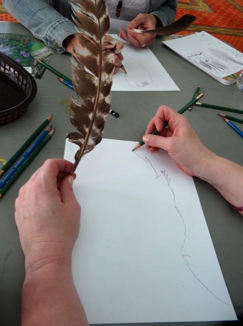 Demonstrate and guide drawing objects from nature using contour line. Help students develop artistic/scientific observation skills.