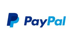 brings over 25 years of experience and extensive expertise in strategic communications, public affairs, corporate, government, reputation risk management, and legal domains to PayPal s expanding