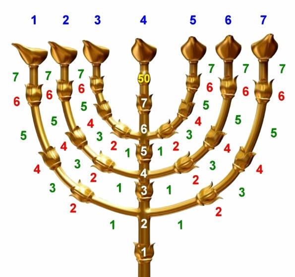 The Menorah has 22 almond blossoms and 27 connecting parts; together they are 22+27=49 parts. On the shaft there are 7 parts and on all 6 side arms as well.