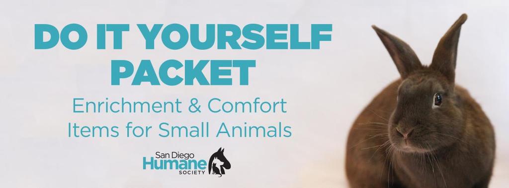 Thank you for your interest in helping the animals at San Diego Humane Society! We would not be able to provide the level of care and commitment to our animals without the help of people like you.