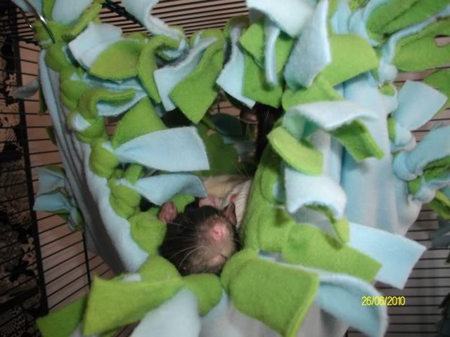 NO SEW RAT HAMMOCK Materials: Fleece Fabric scissors Metal shower curtain hooks or metal book/binder rings 1. Cut two square pieces of fleece the same size (approximately 15 x 15 18 x 18 ) 2.
